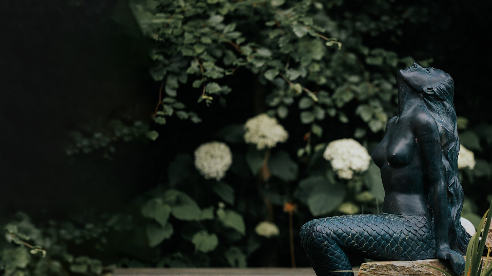 Manifesting Your New Life Workshop