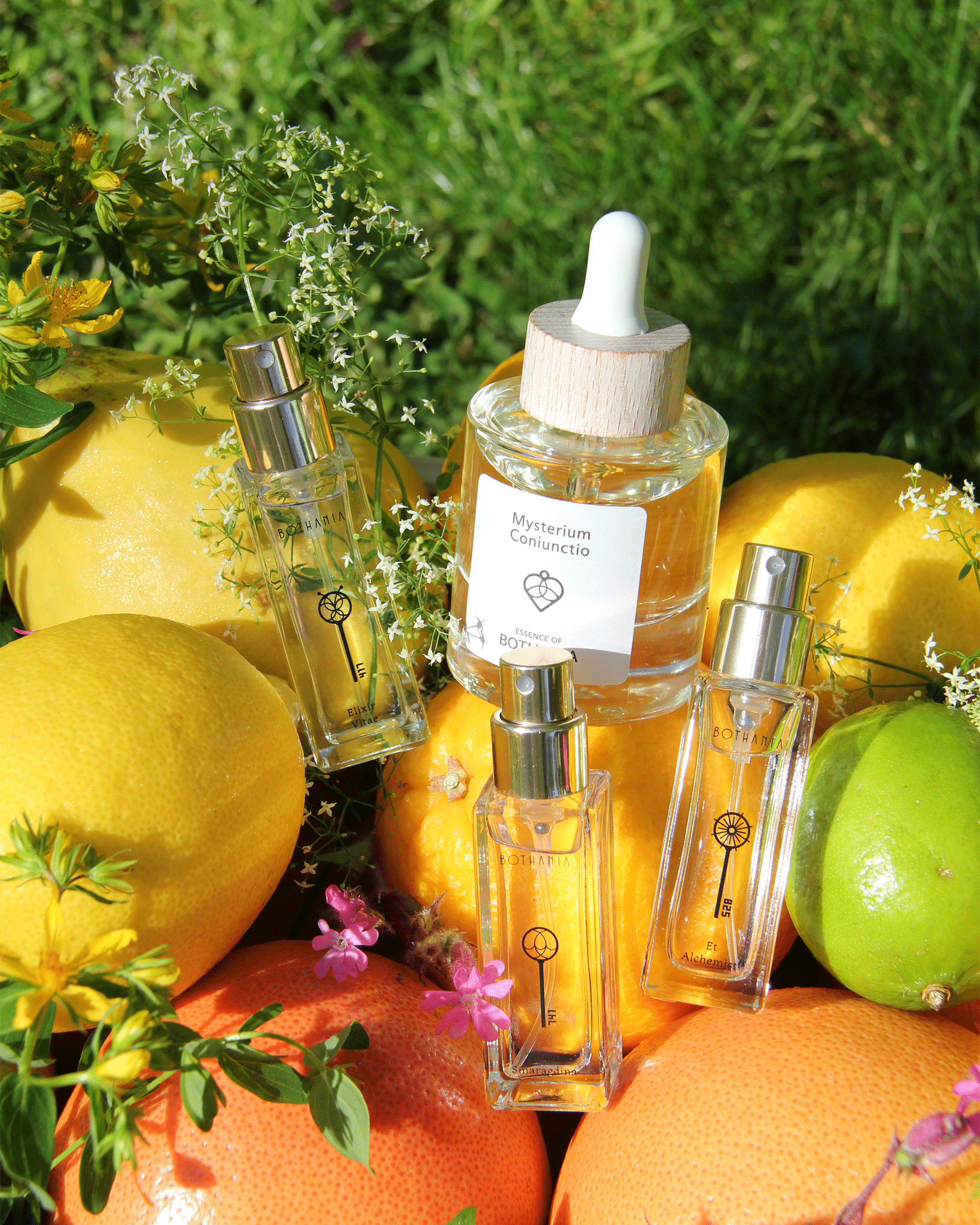 Summer Bundle
