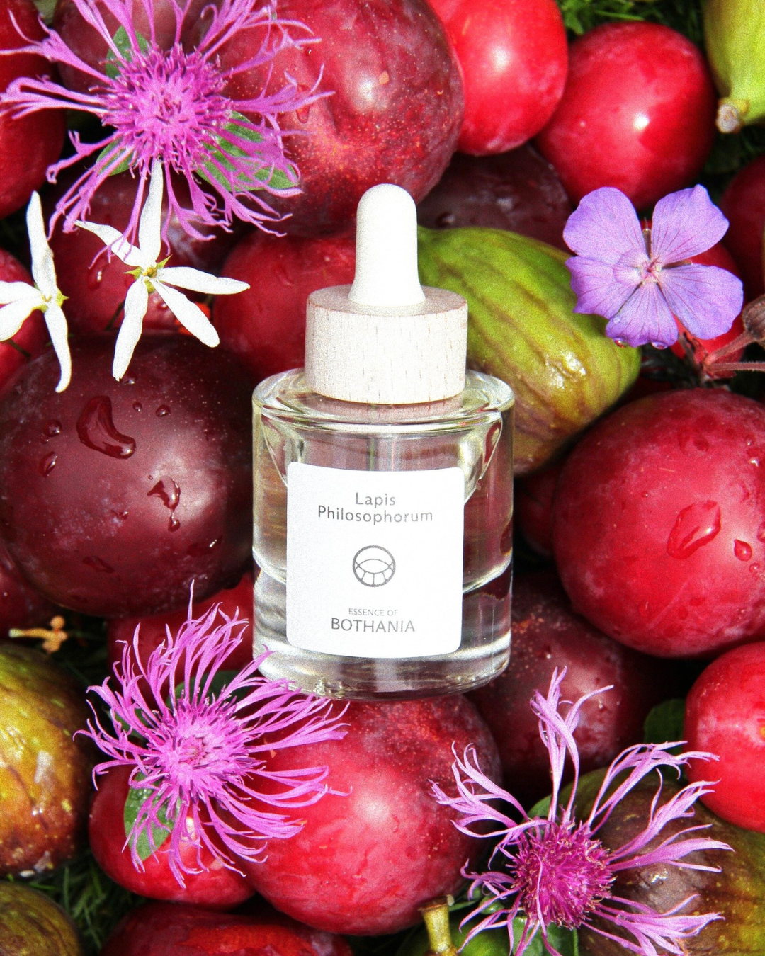Bottle of the perfume oil 'Lapis Philosophorum' made by House of Bothania. Glass bottle with a wooden cap, with a background of fresh plums, figs and purple flowers. Bioenergetic perfume oil made to awaken your senses. Lapis Philosphorum is connected to our Third Eye, and enhances the ability to see beyond. A deeper understanding and connection with the universe.