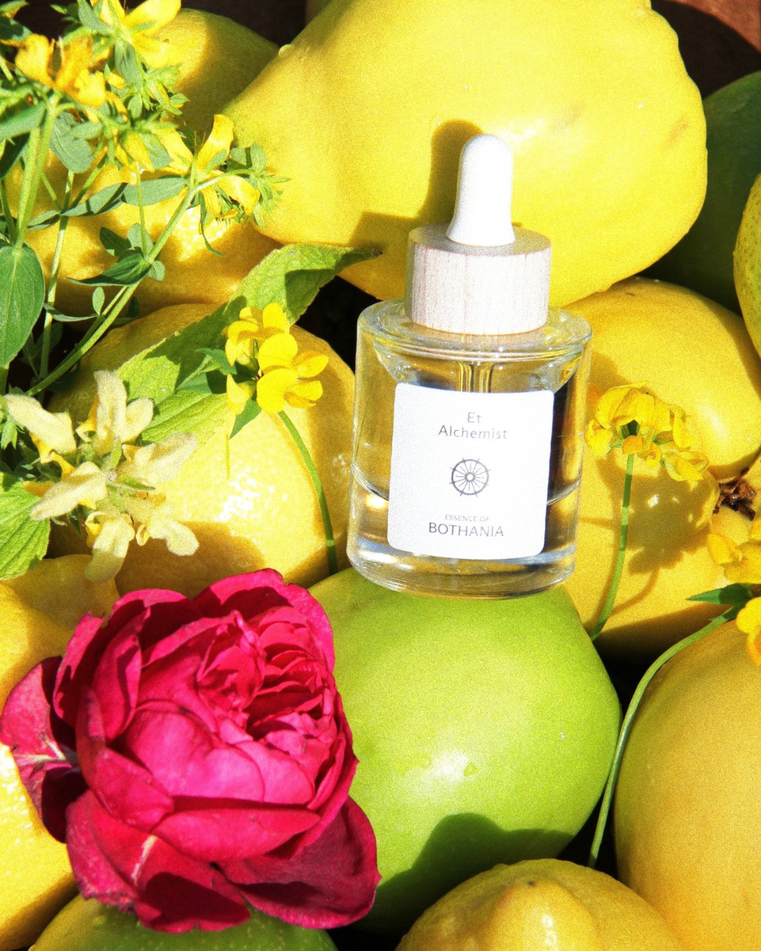 Bottle of the perfume oil 'Et Alchemist' made by House of Bothania — with a wooden cap surrounded by lemons, apples, and a pink flower. Bioenergetic perfume oil made to awaken your senses. Activates self-power, your solar plexus chakra. 
