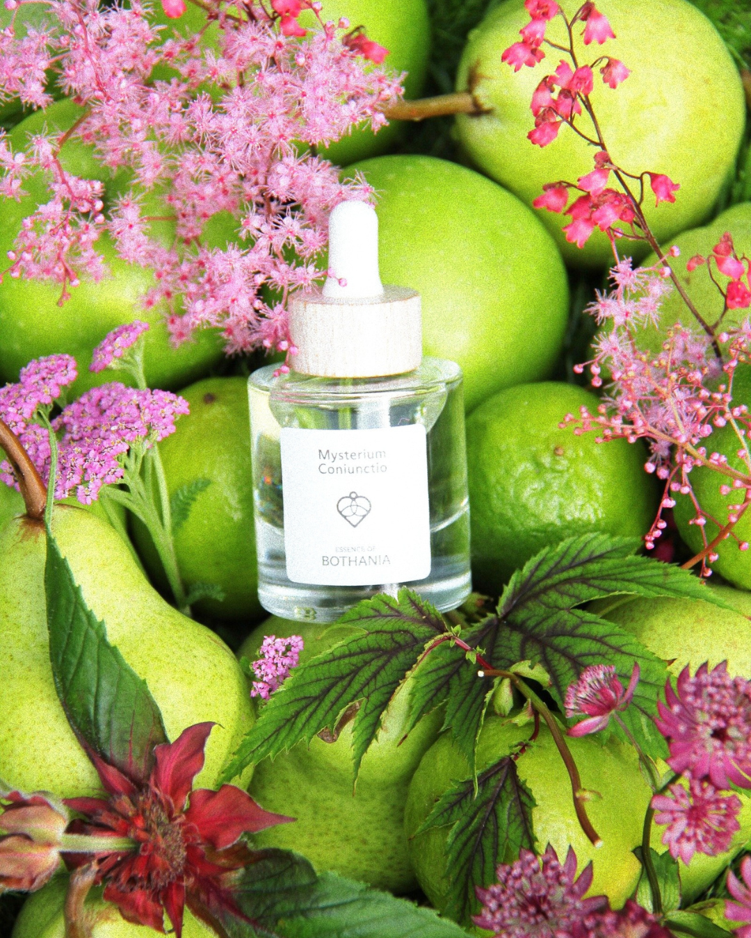Bottle of the perfume oil'Mysterium Coniunctio' by House of Bothania — with a wooden cap against a background of green fruits, apple nd lime — with purple and prink wild flowers. Bioenergetic perfumes oil made to awaken your senses. 'Mysterium Coniunctio' is connected to our heart chakra, is represents balance, love and prosperity. It reveals the hidden mysteries of the heart. The merging of opposites. Brings balance and harmony.