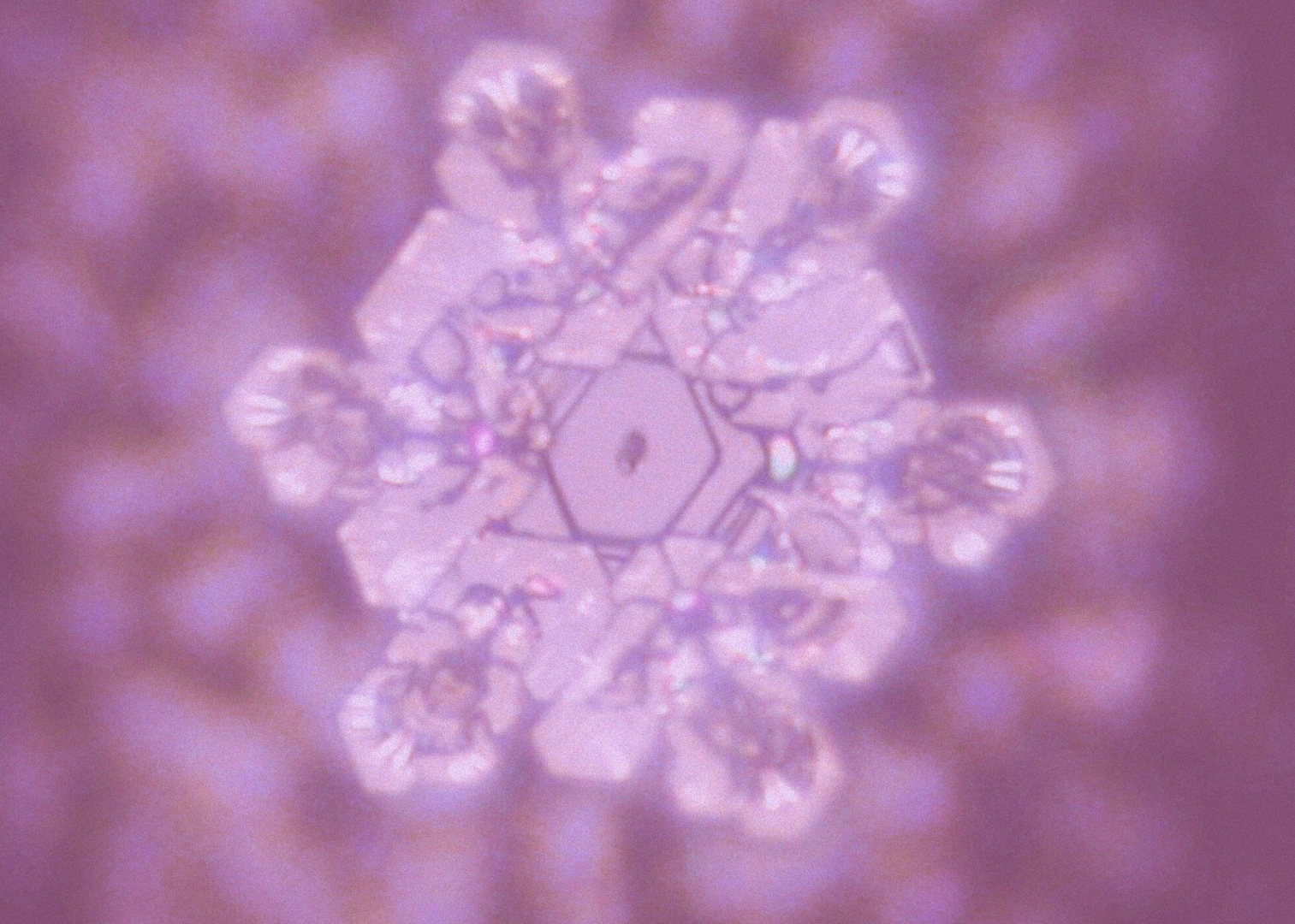 Womb Weaver - Official Launch Gathering (online)