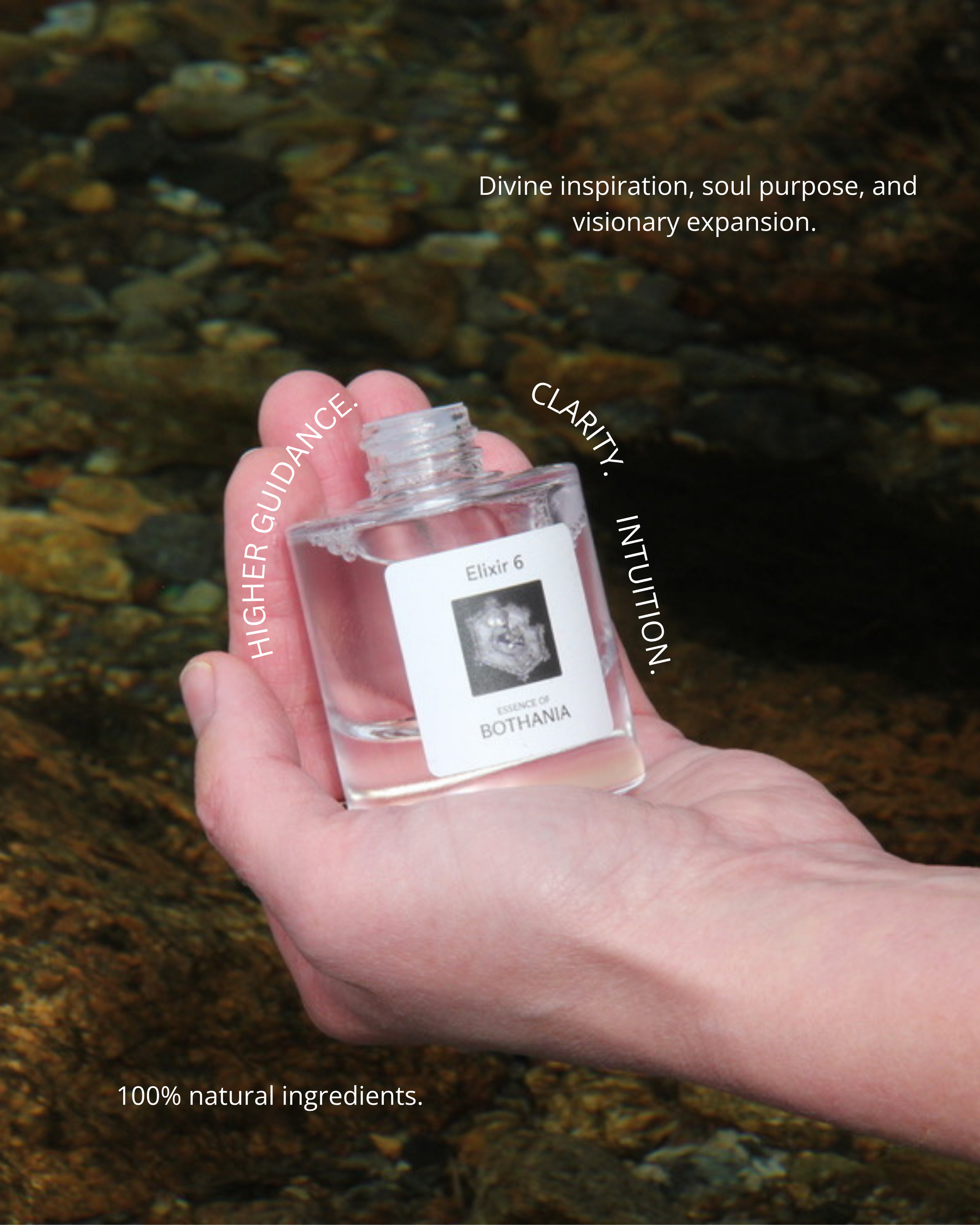 Hand holding a House of Bothania Elixir 6. A glass bottle with text about the energetic qualities of the elixir + 100 natural ingredients.